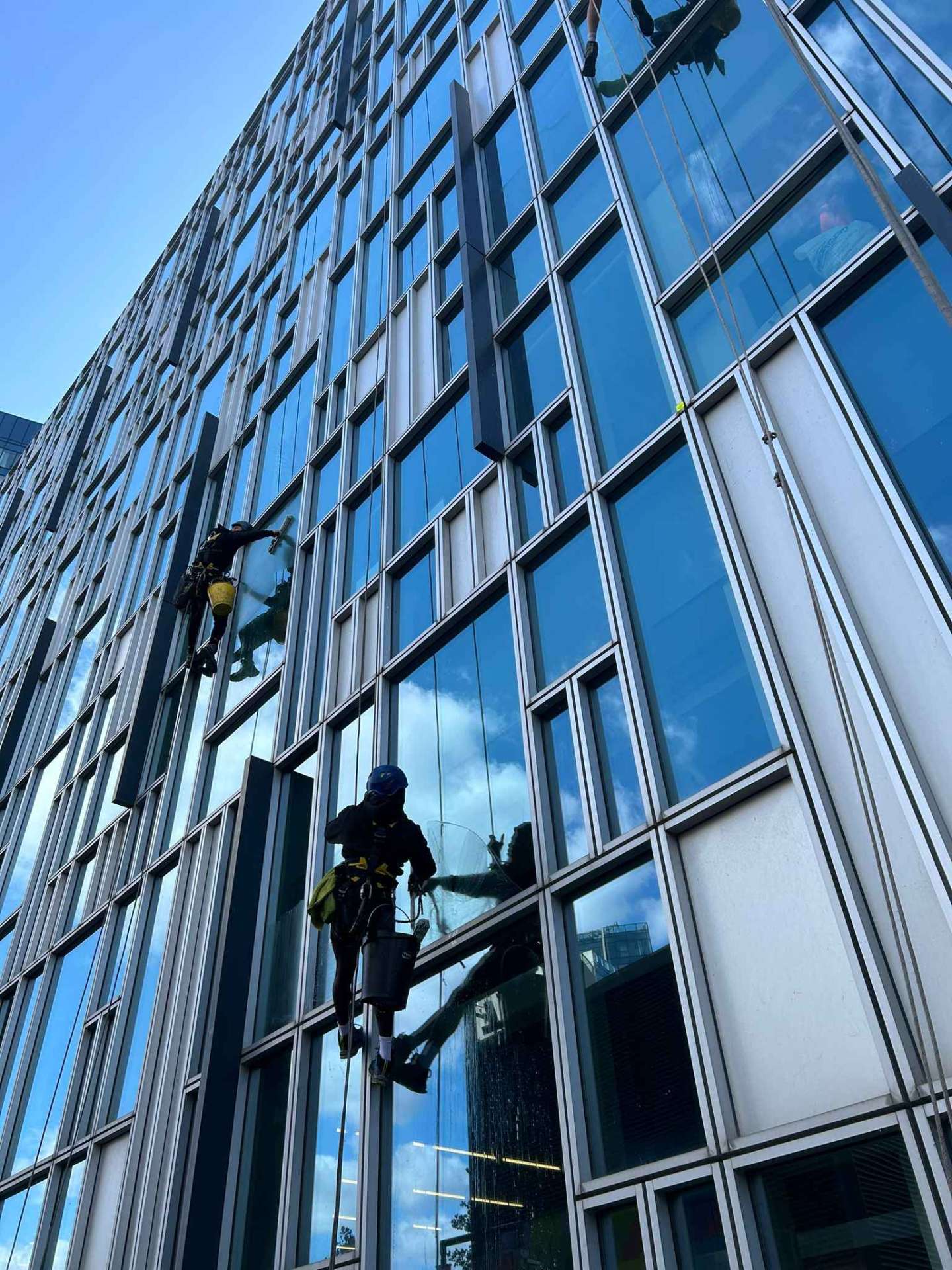Access Facility Services rope-access technicians cleaning a high-rise glass facade